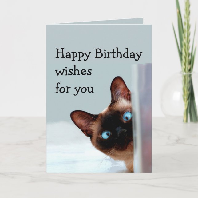 Cartão Funny Birthday Wishes Siamese Cat Animal Humor (Frente)