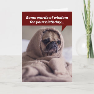 Cartão Funny Birthday Words Of Wisdom From A Noble Pug