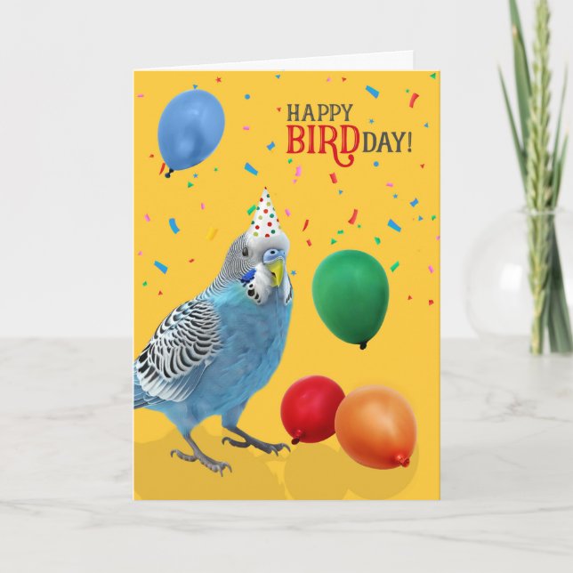 Cartão Funny Blue and White Budgie Parakeet Birthday (Frente)