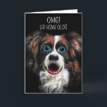 Cartão Funny Border Collie Cartoon Style Birthday<br><div class="desc">Funny border collie painting with exaggerated big eyes and open mouth in a cartoon style to offer a WHAT? expression has been paired with a fun texting chat theme and both the card front text and inside verse may be changed by you to suit the recipient and your own sense...</div>