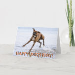 Cartão Funny boxer dog birthday card<br><div class="desc">Crazy running boxer dog birthday card. Text on front reads "Happy birthday!" and text inside reads "Hope you have a great day!"</div>