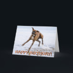 Cartão Funny boxer dog birthday card<br><div class="desc">Crazy running boxer dog birthday card. Text on front reads "Happy birthday!" and text inside reads "Hope you have a great day!"</div>