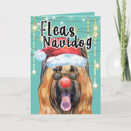 Cartão Funny Briard dog in lights fleas navidog