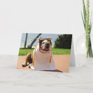 Cartão Funny bulldog graduation card