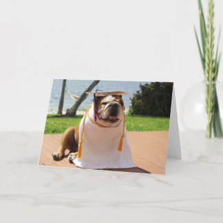 Cartão Funny bulldog graduation card