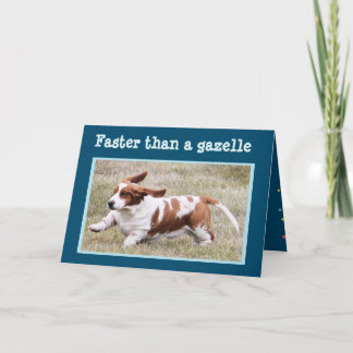 Cartão Funny Card with "The Birthday Basset"