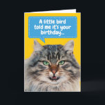 Cartão Funny Cat Ate Bird Birthday Greeting<br><div class="desc">A little bird told this cat it was your birthday. Good thing the cat ate the bird! Funny card for cat lovers and birthday haters.</div>