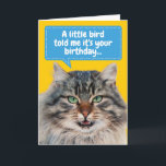 Cartão Funny Cat Ate Bird Birthday Greeting<br><div class="desc">A little bird told this cat it was your birthday. Good thing the cat ate the bird! Funny card for cat lovers and birthday haters.</div>
