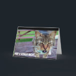 Cartão Funny Cat Birthday Card<br><div class="desc">This is a hilarious birthday card for someone for their birthday.</div>