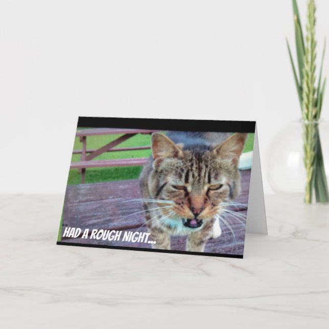 Cartão Funny Cat Birthday Card (Frente)