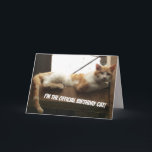 Cartão Funny Cat Birthday Card<br><div class="desc">This is a funny birthday card that will brighten up a person on their birthday.</div>