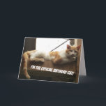 Cartão Funny Cat Birthday Card<br><div class="desc">This is a funny birthday card that will brighten up a person on their birthday.</div>