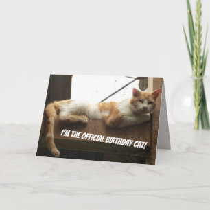 Cartão Funny Cat Birthday Card
