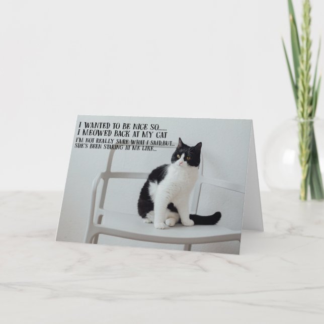 Cartão Funny Cat Birthday Greeting Card  (Frente)