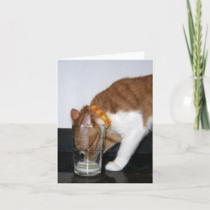 Cartão Funny Cat Drinking from Glass Blank Note Card