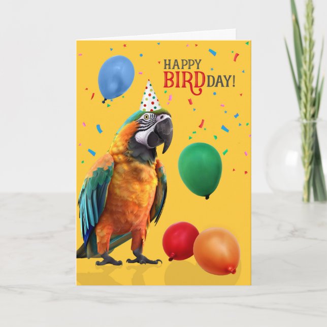 Cartão Funny Catalina or Rainbow Macaw Parrot Birthday (Frente)