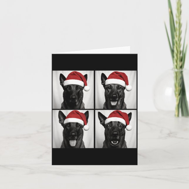 Cartão Funny Christmas Belgian Malinois Santa Dog Lover P (Frente)