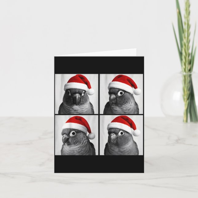 Cartão Funny Christmas Green Cheek Conure Santa Photo Boo (Frente)