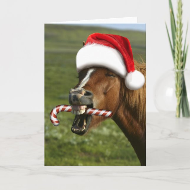 Cartão Funny Christmas horse with Santa hat smiling (Frente)