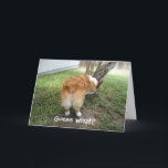 Cartão Funny Corgi<br><div class="desc">Um cartão de aniversário engraçado. Se você não gosta do texto,  faça sua própria citação engraçada para colocar neste cartão de humor corgi. Os viciados em bumbuns coelhinhos acharão que essa piada é hilária. Adivinha o quê? Bumbum Corgi.</div>