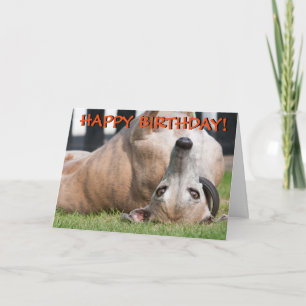 Cartão Funny cute greyhound greetings card