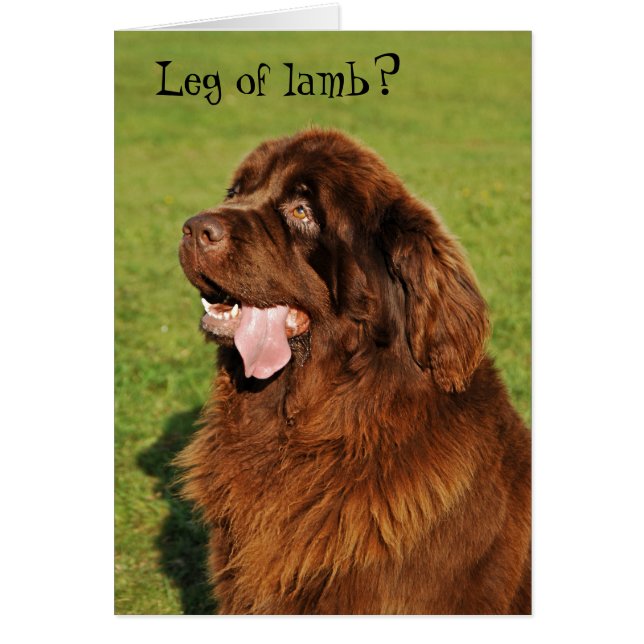 Cartão Funny da Terra Nova (Frente)