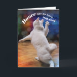 Cartão Funny Dancing Cat - No One's Watching Birthday<br><div class="desc">This cat is dancing like no one's watching. The message is,  "Dance like no one's watching"...  So if you're a bad dancer,  it doesn't matter,  no one's watching because they're too busy looking at their phones! Funny birthday card for cat lovers (or non-cat lovers).</div>
