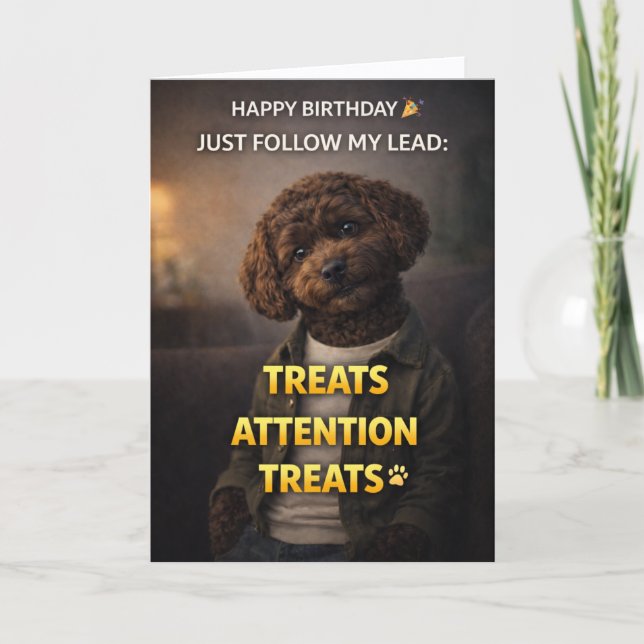 Cartão Funny Dog Birthday Card Treats Attention Cockapoo (Frente)