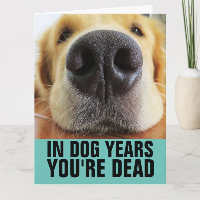 CARTÃO FUNNY DOG BIRTHDAY DOG GREETING CARDS (Frente)