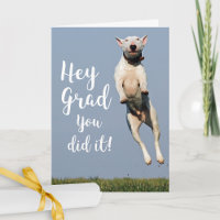 Funny Dog Graduation Card Congratulations Grad