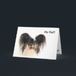 Cartão Funny Dog, Ha ha, You're Old Birthday Card<br><div class="desc">Cute Papillon dog with cute big ears laughs and sticks out his tongue to tease the birthday boy or girl.</div>