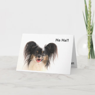 Cartão Funny Dog, Ha ha, You're Old Birthday Card