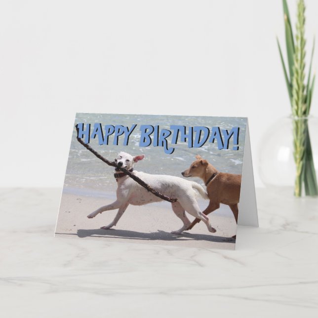 Cartão Funny dog with stick birthday card (Frente)