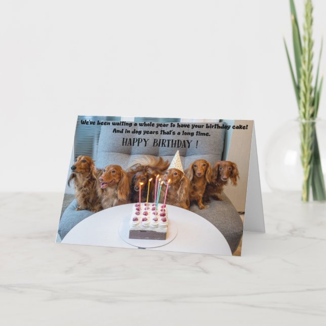 Cartão Funny Dogs Birthday Greeting Card  (Frente)