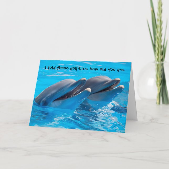 Cartão Funny Dolphins Birthday Card (Frente)
