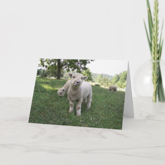 Cartão Funny Face (Frente)