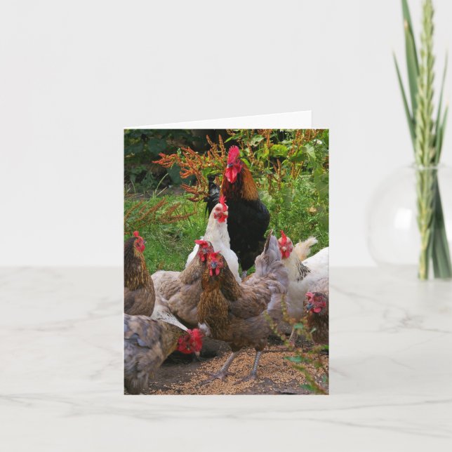 Cartão Funny Farmyard Chickens & Rooster Note Card (Frente)