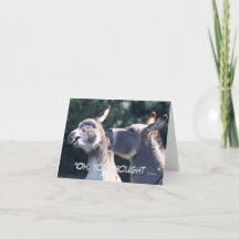 Funny Father's Day card featuring donkeys