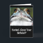 Cartão Funny Frog, Birthday Card: Original Art<br><div class="desc">The caption "Excited About Your Birthday?" belies the placid expression of the frog staring out of the picture.  Original artwork was done withPastels.</div>