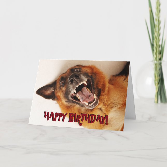 Cartão Funny German Shepherd birthday card (Frente)