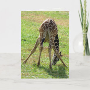 Cartão Funny Giraffe Greeting Card (blank inside)