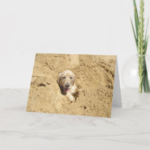 Cartão Funny Golden Retriever