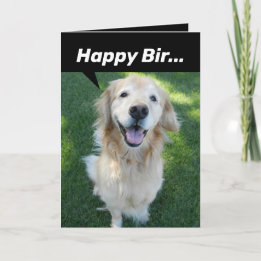 Cartão Funny Golden Retriever Distracted By Squirrel