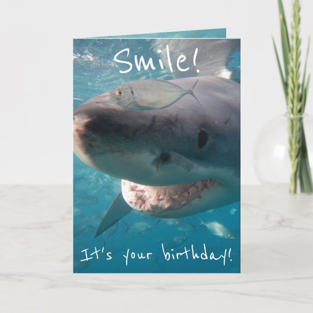 Cartão Funny Great White Shark Birthday (Frente)
