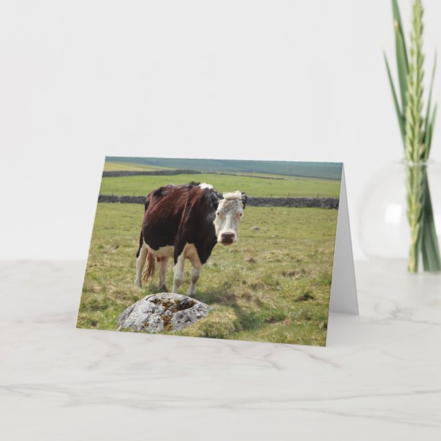 Cartão Funny greetings card (Frente)