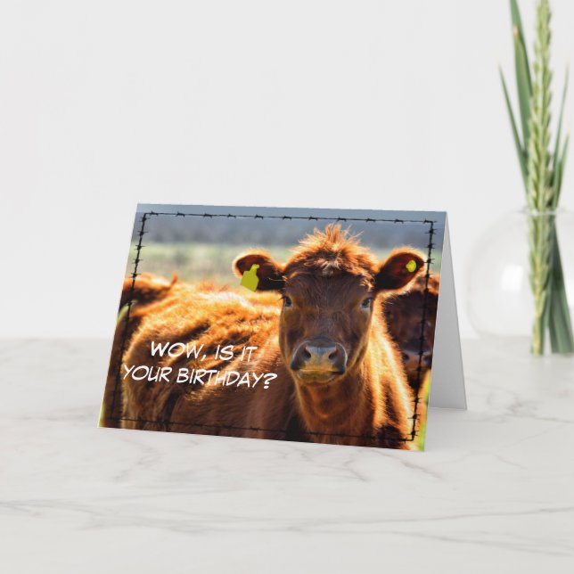 Cartão Funny Happy Birthday Country Farm Mail Farm Tales  (Frente)