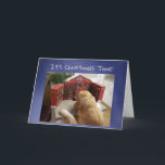 Cartão Funny Holiday card Dog with Treats Advent Calendar<br><div class="desc">Jasper the golden retriever is (not so) patiently waiting to get all his Christmas treats! Hoping your friends and family have plenty of Holiday treats this year!</div>