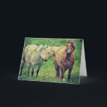 Cartão Funny Horses, Birthday<br><div class="desc">All rights reserved © Angelandspot</div>
