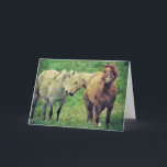 Cartão Funny Horses, Birthday<br><div class="desc">All rights reserved © Angelandspot</div>