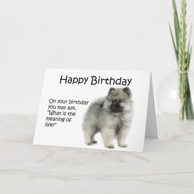 Cartão Funny Keeshond Puppy Birthday Card (Frente)